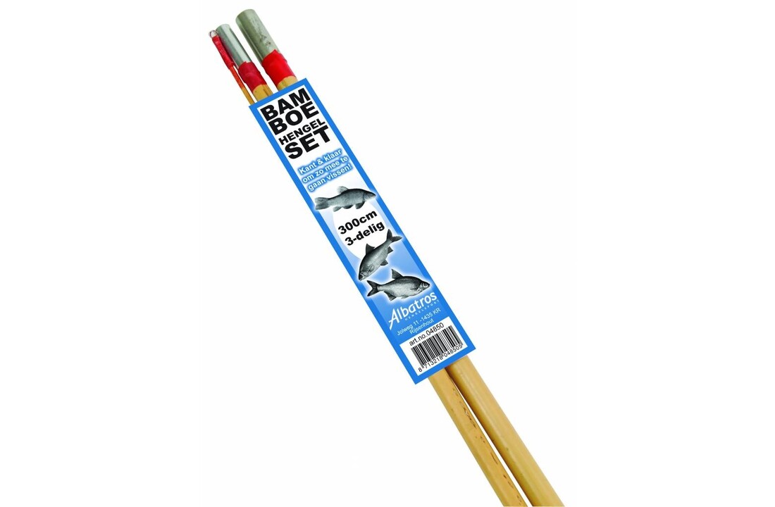 BAMBOESET 300 CM