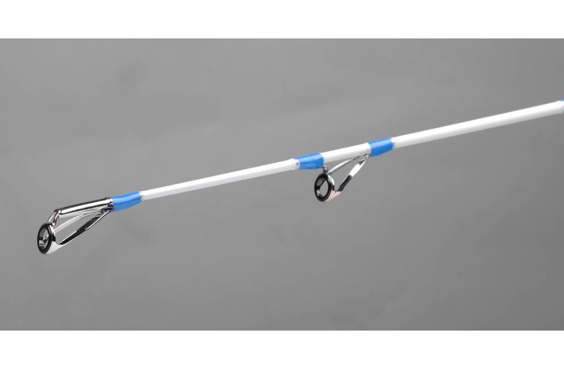 SKYTARGET TUBULAR TIP 450 CM 100 > 250 GRAM