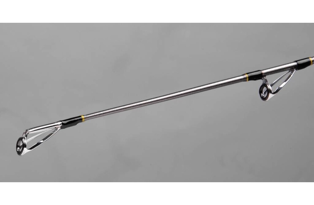 SKYTARGET TUBULAR TIP SLIM 420 CM 100 > 200 GRAM