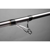 SKYTARGET TUBULAR TIP SLIM 420 CM 100 > 200 GRAM