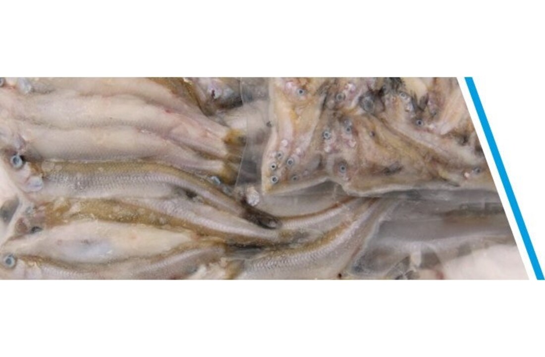 SPIERING KLEIN ZAKJE 250GR