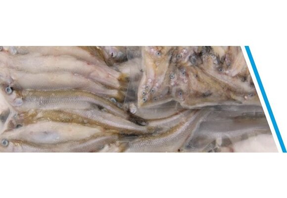 SPIERING KLEIN ZAKJE 250GR