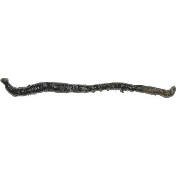 GROTE PIEREN (VERPAKT PER 10 STUKS)