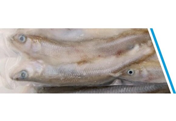 SPIERING GROOT DOOSJE 200 GRAM