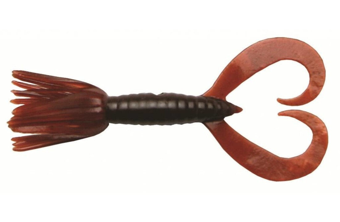 LITTLE SPIDER 5 CM SCUPPERNONG