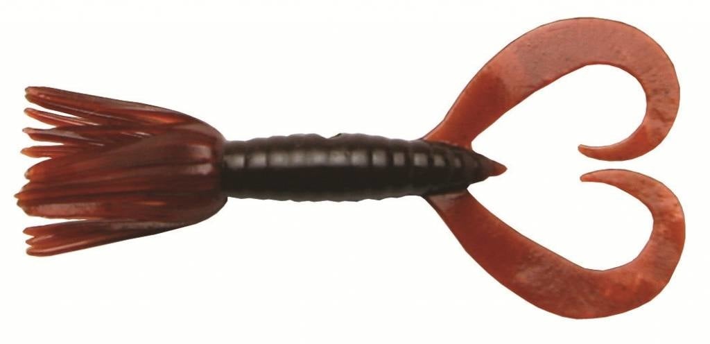 LITTLE SPIDER 5 CM SCUPPERNONG