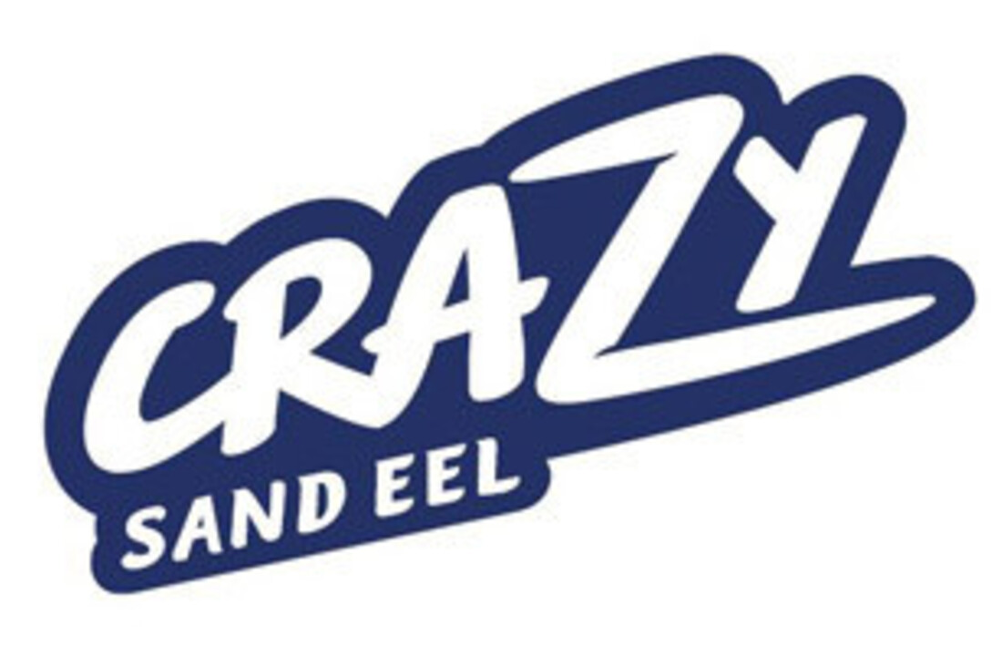 CRAZY SAND EEL 220 X-STRONG 90GR JIG HEAD PEARL BLUE