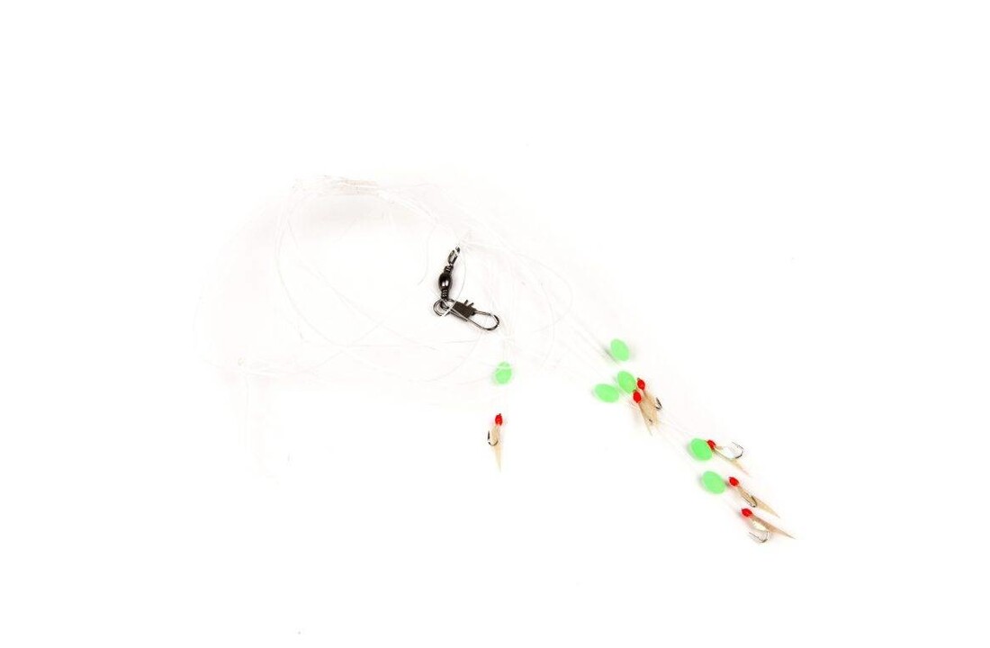 HARINGONDERLIJN 6 HKS #2