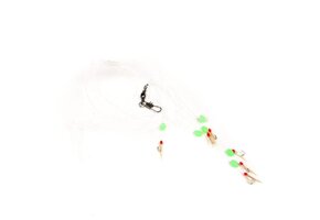 HARINGONDERLIJN 6 HKS #2