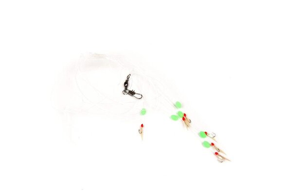 HARINGONDERLIJN 6 HKS #2