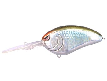 LITTLE JOHN BABY DD 6 CM FLOATING BLUE BACK HERRING 18.5 GRAM #3