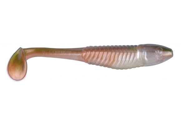 BONY SHAD GOLDEN SHINER