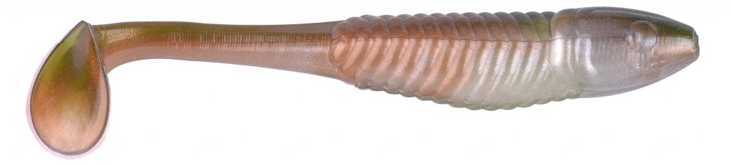 BONY SHAD GOLDEN SHINER