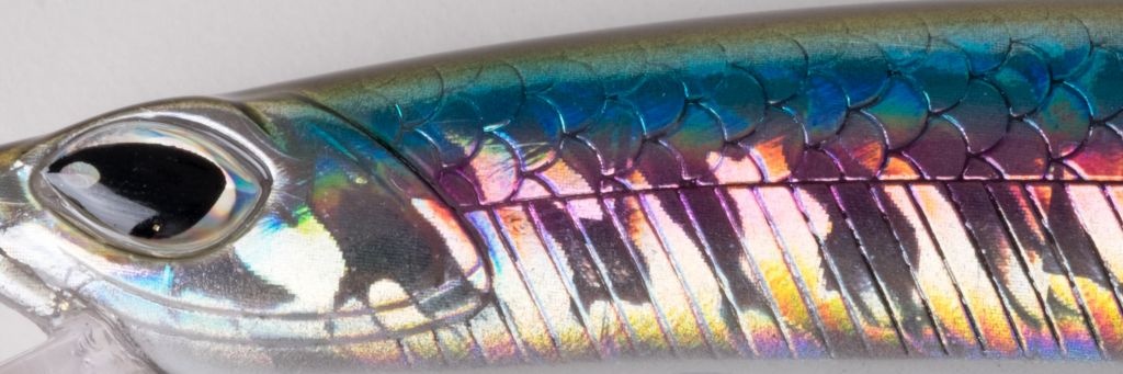 CRAFTY MINNOW 150F ANCHOVY