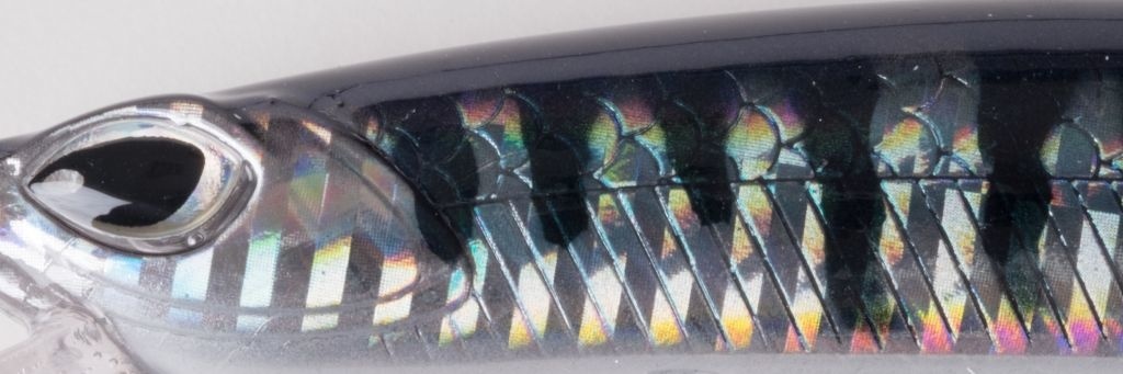 CRAFTY MINNOW 150F ANCHOVY