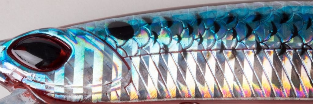 CRAFTY MINNOW 150F ANCHOVY