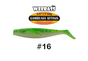 GAMBUSIA AFFINIS 7.5 GRAM 8.9 CM P/4