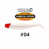 GAMBUSIA AFFINIS 7.5 GRAM 8.9 CM P/4