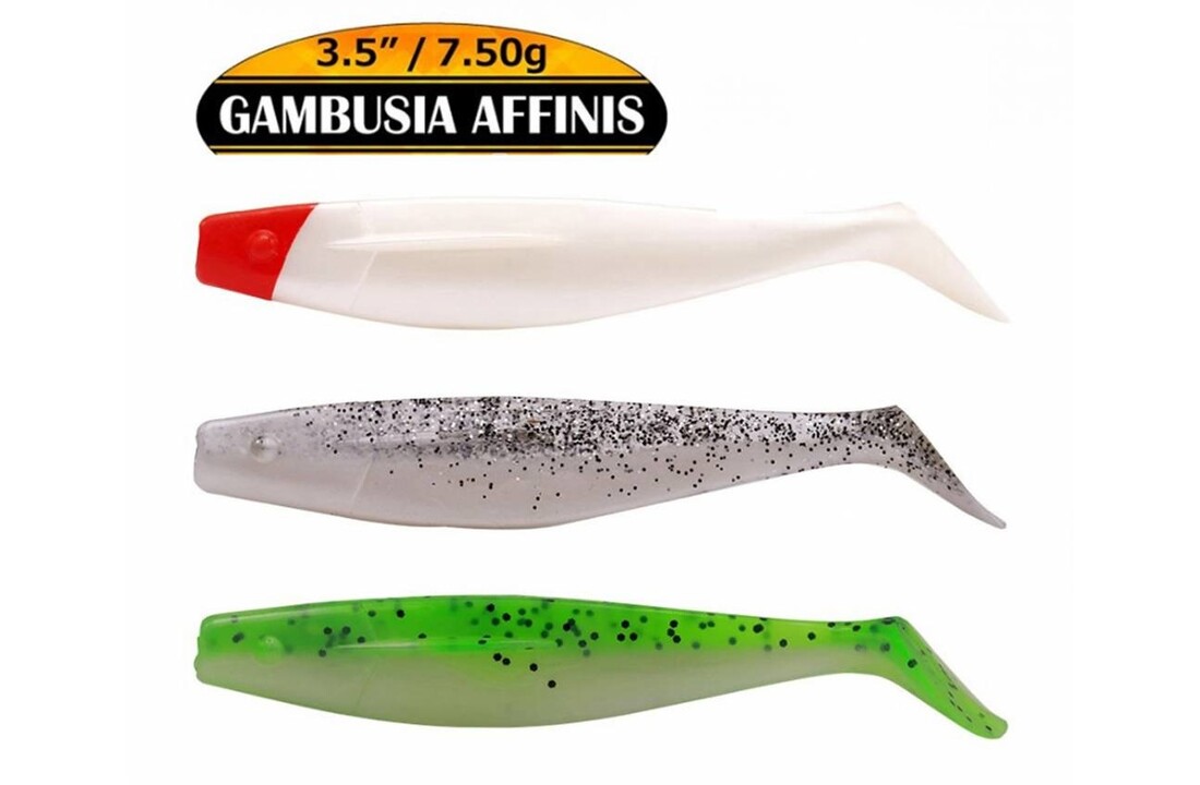 GAMBUSIA AFFINIS 7.5 GRAM 8.9 CM P/4