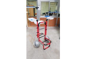 BEACH TROLLY ROOD MET BAKKEN EN 2 ONDERLIJNEN KAMMEN