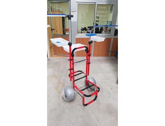 BEACH TROLLY ROOD MET BAKKEN EN 2 ONDERLIJNEN KAMMEN