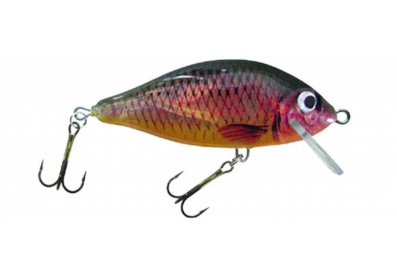 HESTER PRUSSIAN CARP FLOATING 0.5 M > 1.2 M 5 CM 6 GRAM COLOR 068