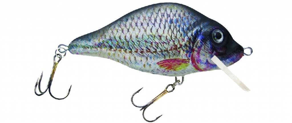 HESTER CARP FLOATING 2.5 M > 3.0 M 9 CM 28 GRAM COLOR 123