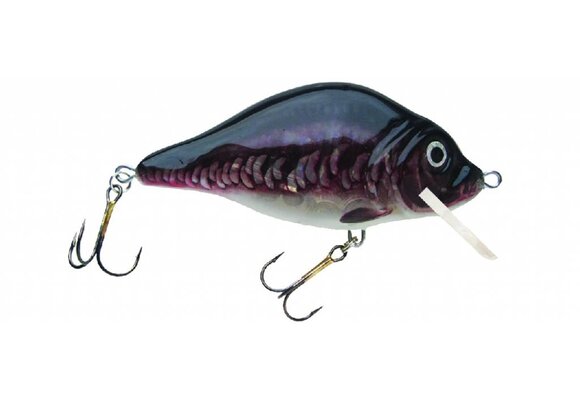 HESTER CARP FLOATING 2.1 M > 2.5 M 7 CM 13 GRAM COLOR 065