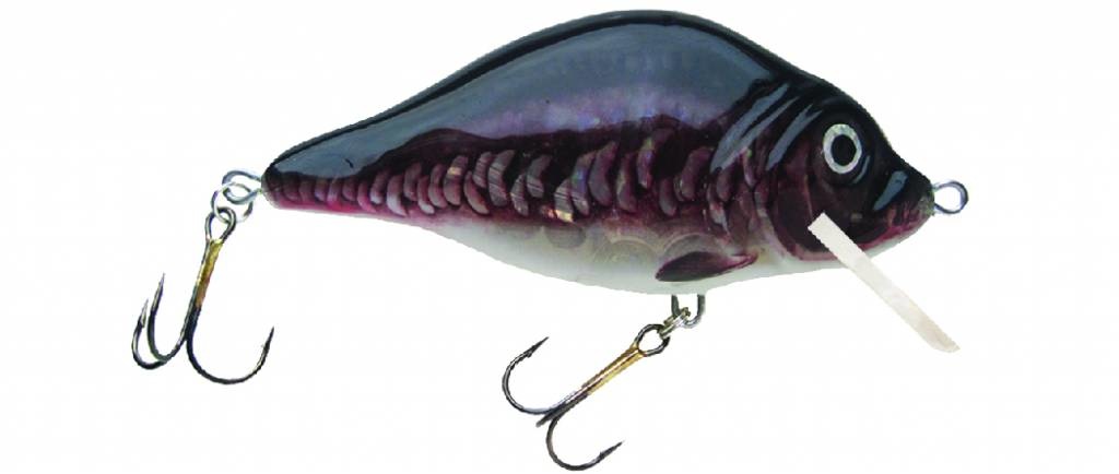 HESTER CARP FLOATING 2.1 M > 2.5 M 7 CM 13 GRAM COLOR 065