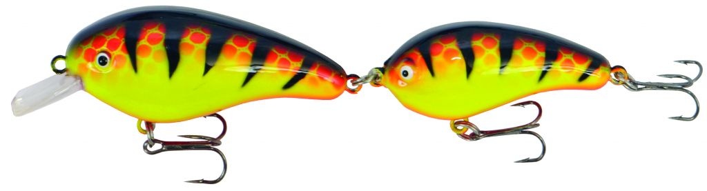 PREDOX FOLLOW JOE ORANGE TIGER