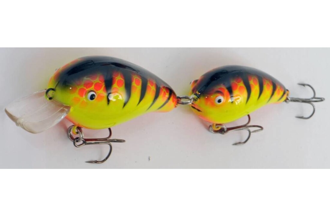 PREDOX FOLLOW JOE ORANGE TIGER