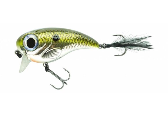 FAT IRIS SHAD
