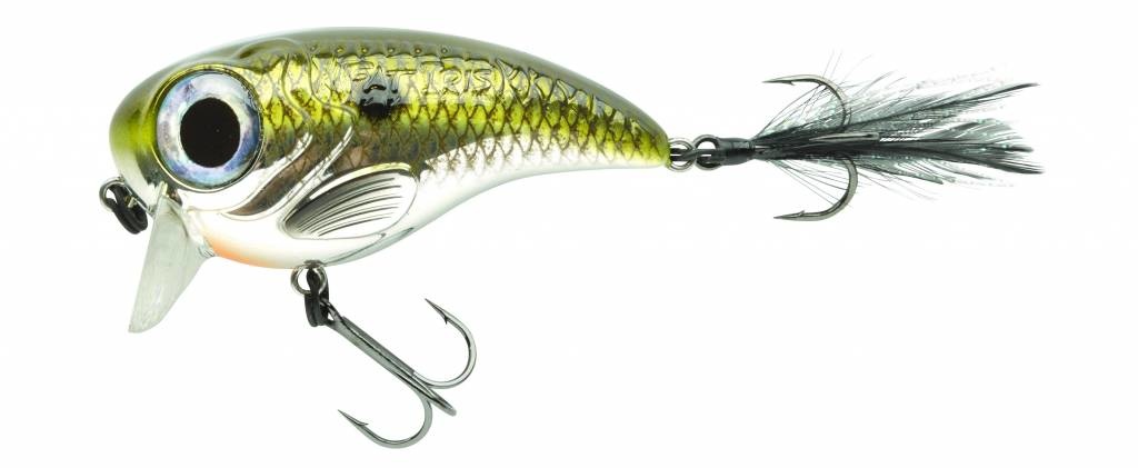 FAT IRIS SHAD