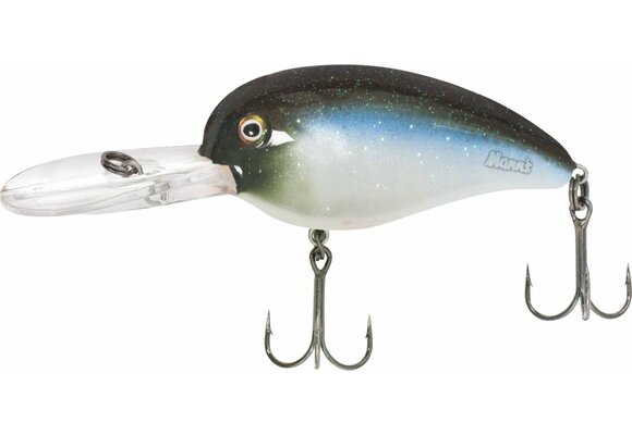 LOUDMOUTH BLUE BAITFISH