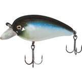 LOUDMOUTH BLUE BAITFISH