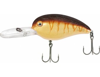 LOUDMOUTH BROWN TIGER