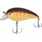 LOUDMOUTH BROWN TIGER