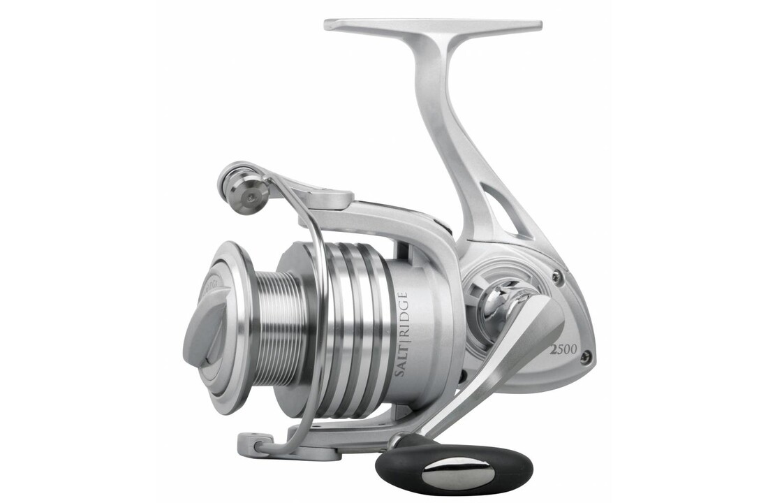 SALT RIDGE REEL