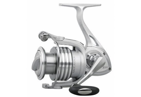 SALT RIDGE REEL