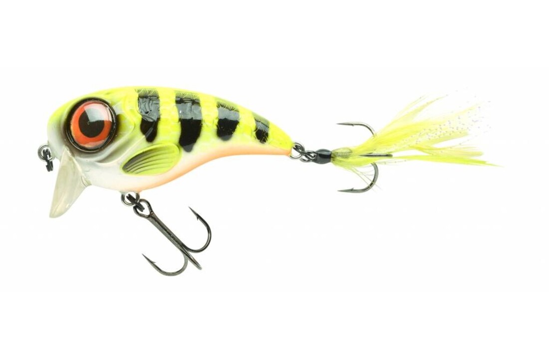 FAT IRIS 60  HOT PERCH