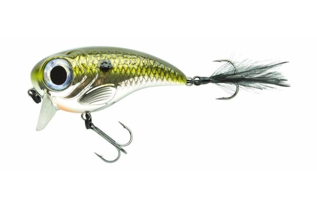 FAT IRIS SHAD