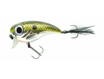 FAT IRIS SHAD