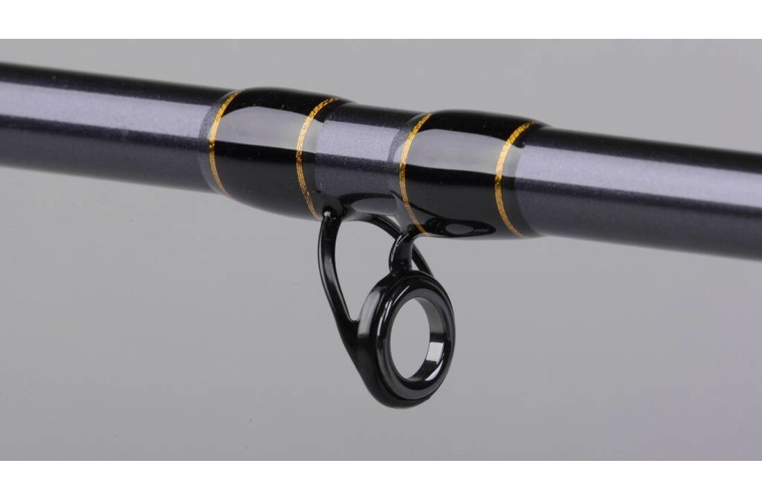 SPRO SALTIX 550 2.40M <550G 2DLG