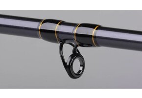 SPRO SALTIX 550 2.40M <550G 2DLG