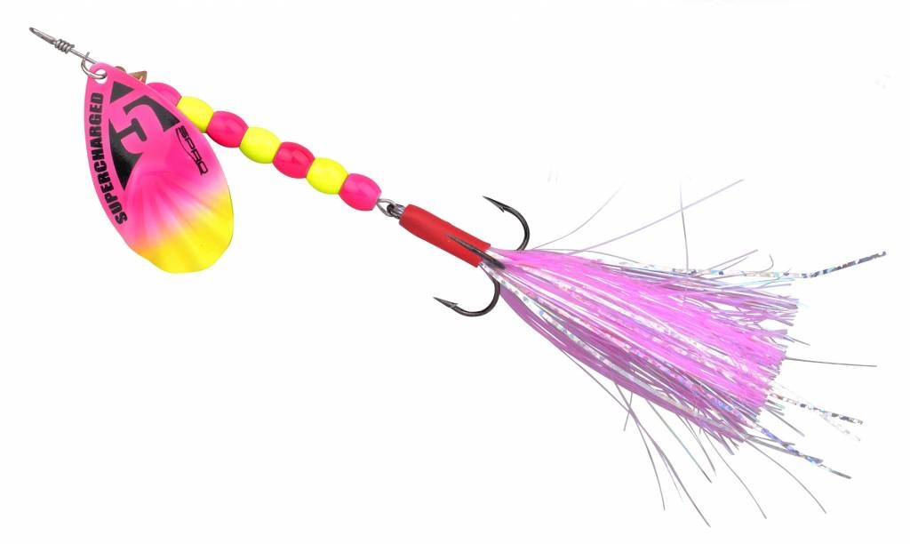 SUPERCHARGED WEI. COT CANDY