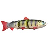 SWIMBAIT BBZ-1 UV 6" SS ROACH