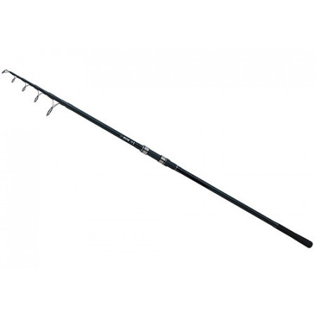 EOS TELESCOPIC 12 FT 3LB
