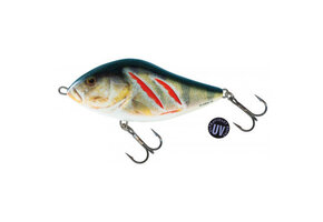 SLIDER SINKING WOUNDED REAL GREY SHINER