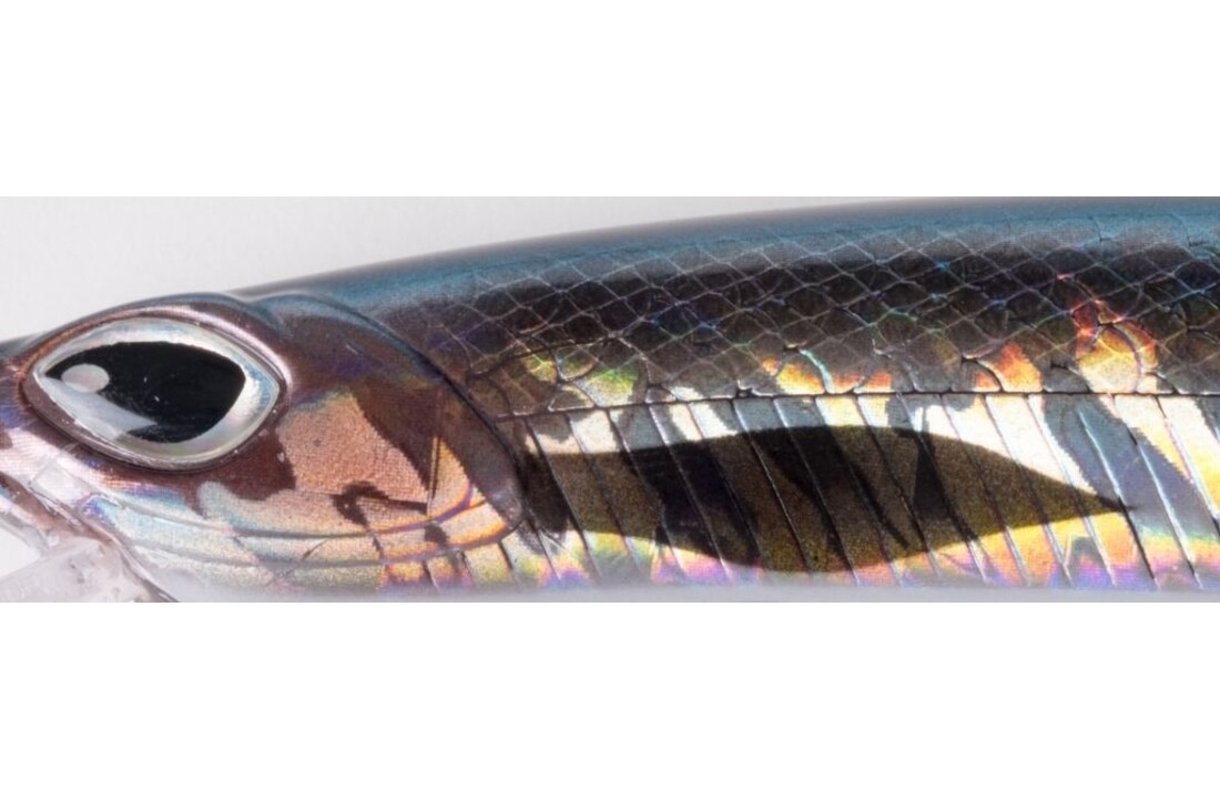 CRAFTY MINNOW 150F ANCHOVY