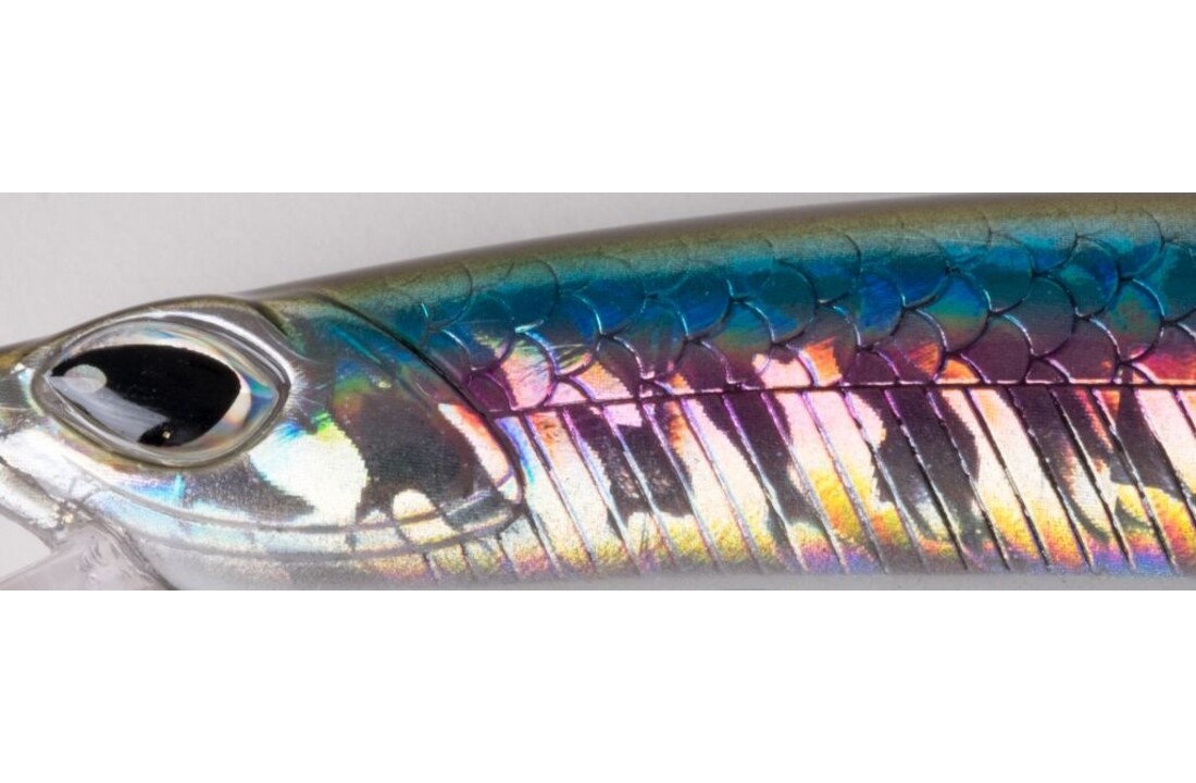 CRAFTY MINNOW 150F ANCHOVY
